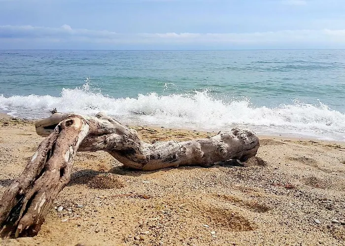 Apartamento Silver Delux Byala (Varna)